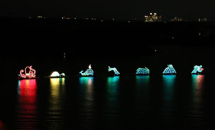 Electrical Water Pageant disney world Electrical Water Pageant disney world