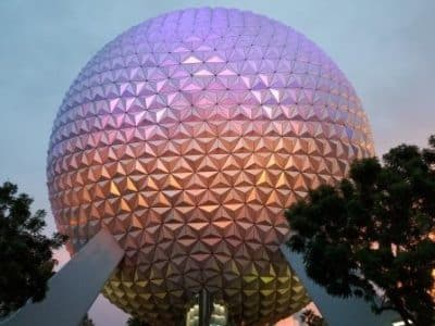 Symbiosis epcot