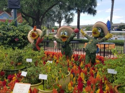 2026 Epcot Flower and Garden Festival 2026 Epcot Flower and Garden Festival
