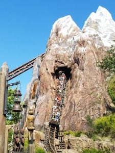 Expedition Everest (Disney World) Expedition Everest (Disney World)