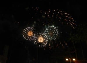 Disney World fireworks