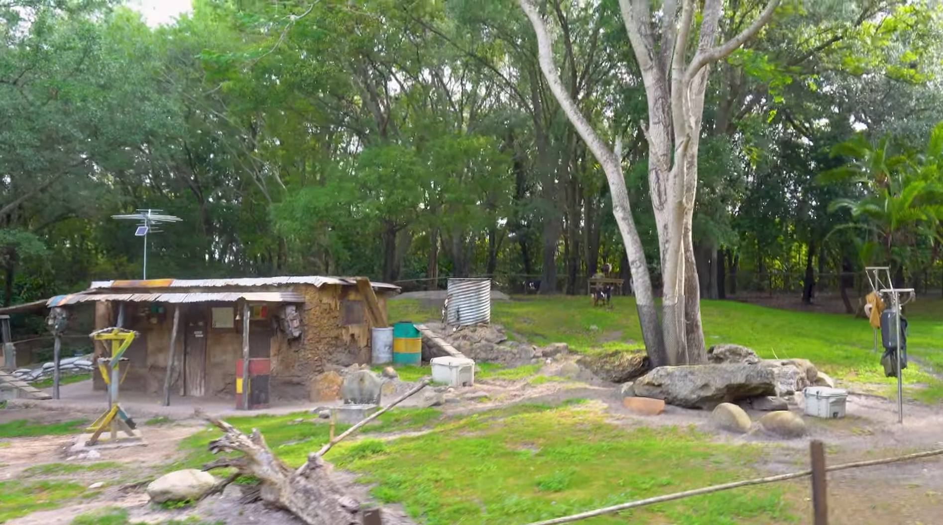 Kilimanjaro Safaris | Disney World Kilimanjaro Safaris | Disney World