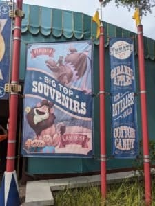 Big Top Souvenirs disney world