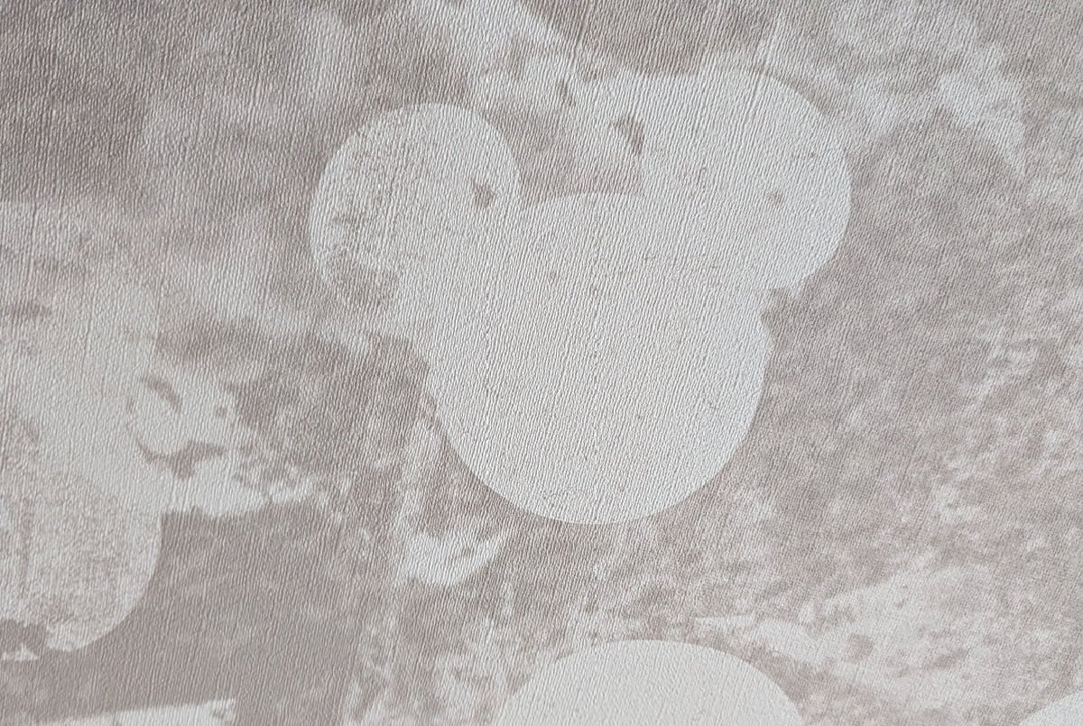What are Hidden Mickeys?