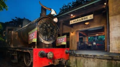 Underrated Disney World Attractions Underrated Disney World Attractions