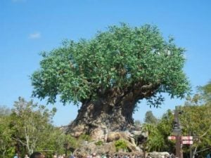 tree of life disney animal kingdom tree of life disney animal kingdom