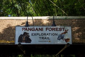 Pangani Forest Exploration Trail “Pangani Forest Exploration Trail (Disney World)” is locked Pangani Forest Exploration Trail (Disney World)