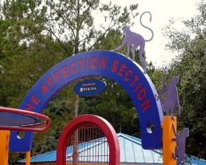 Affection Section (Disney World) Affection Section (Disney World)