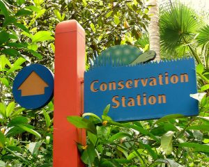 Conservation Station (Disney World) Conservation Station (Disney World)