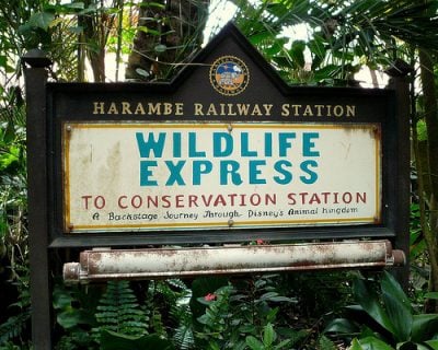 Wildlife Express Train (Disney World)