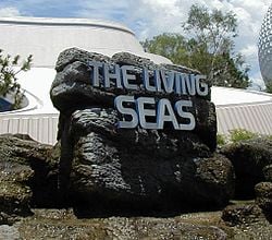 the living seas epcot disney world the living seas epcot disney world