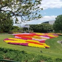 walt disney world weather forecast