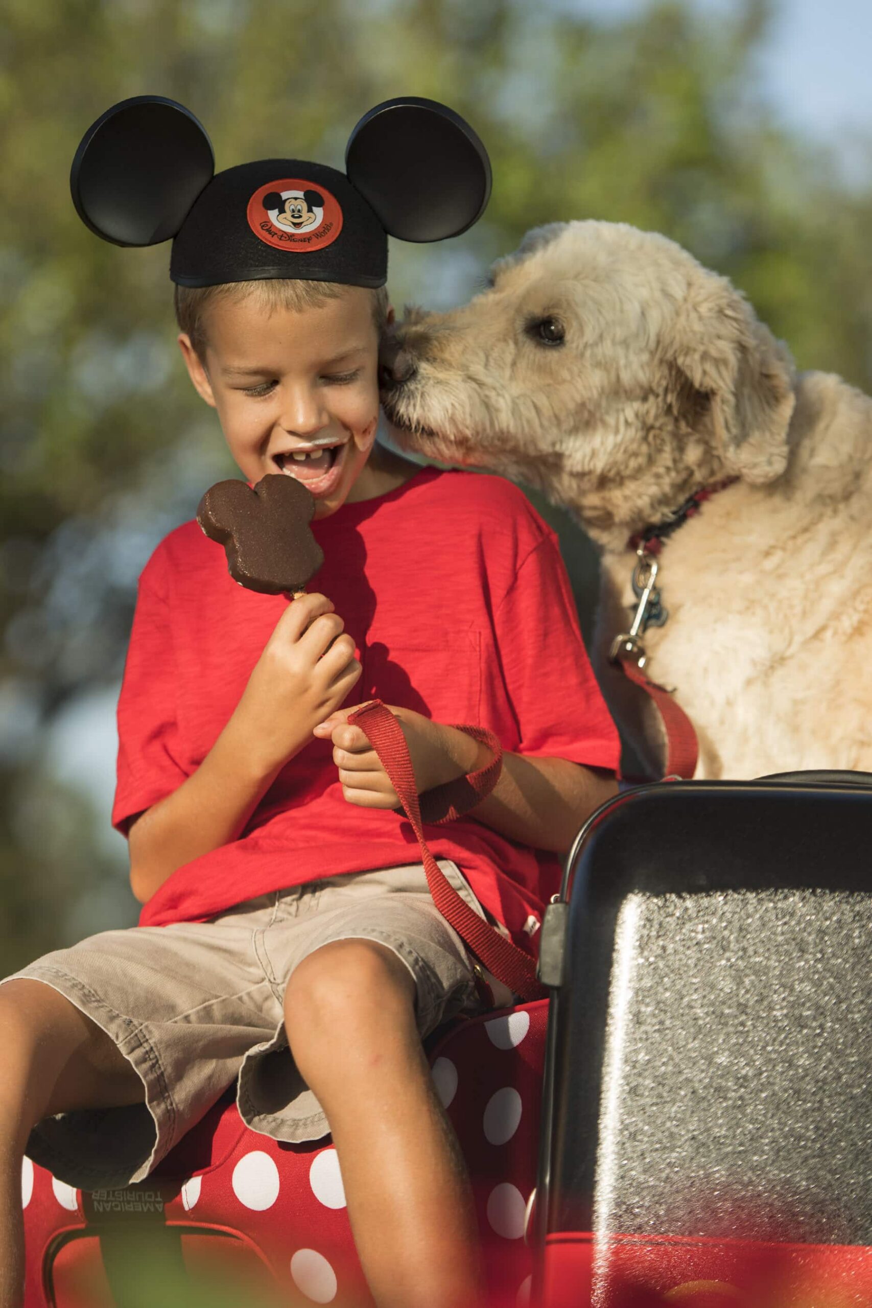 You Can Bring Your Dog to Disney World | What You Need to Know