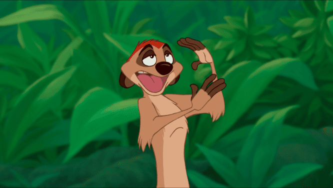 timon disney's animal kingdom disney world