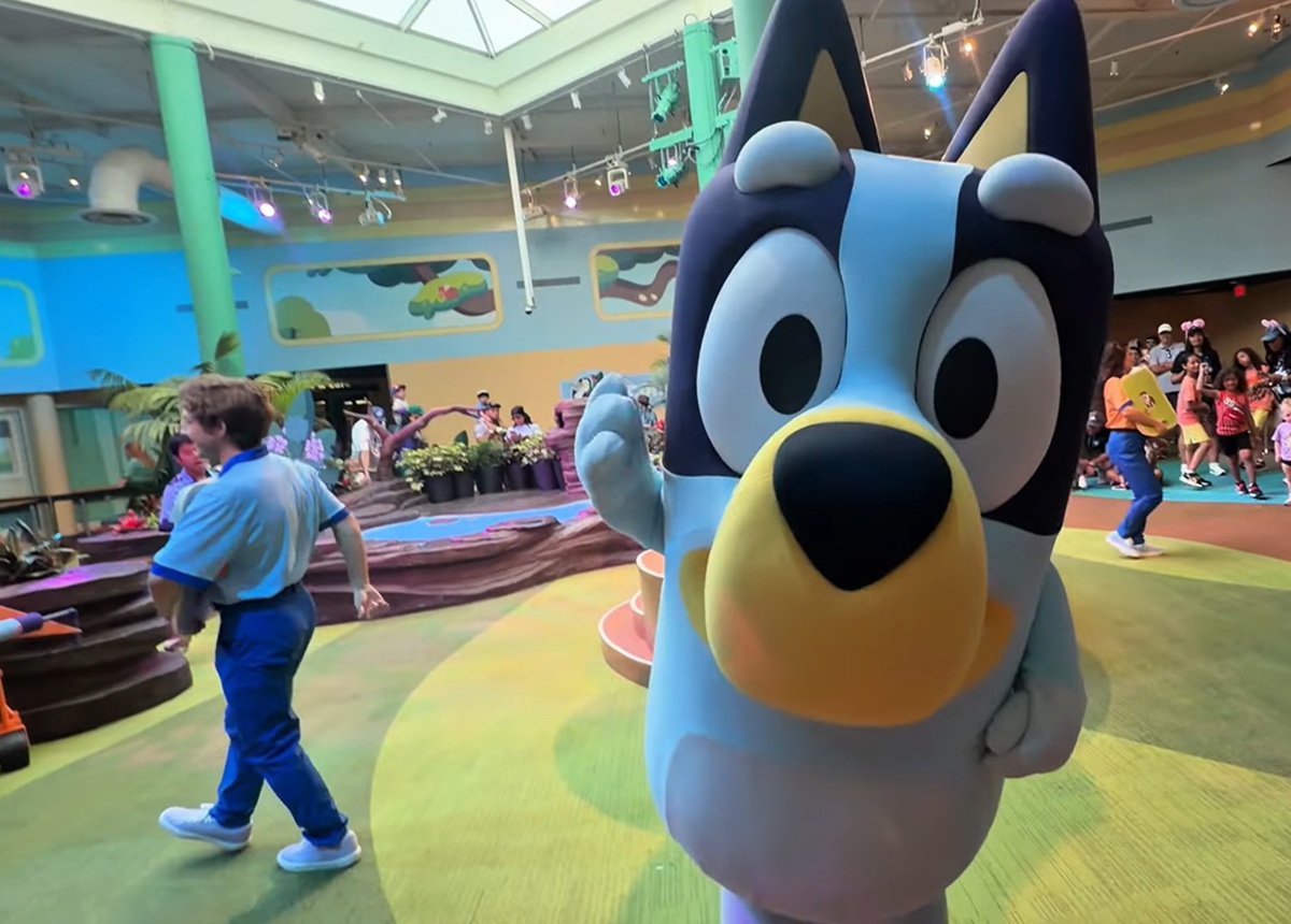 Bluey's Wild World